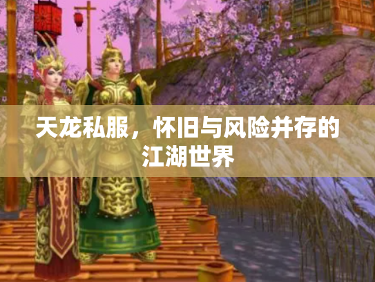 天龙私服，怀旧与风险并存的江湖世界