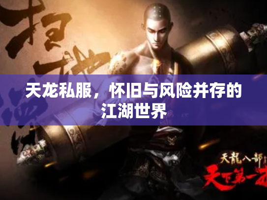 天龙私服，怀旧与风险并存的江湖世界