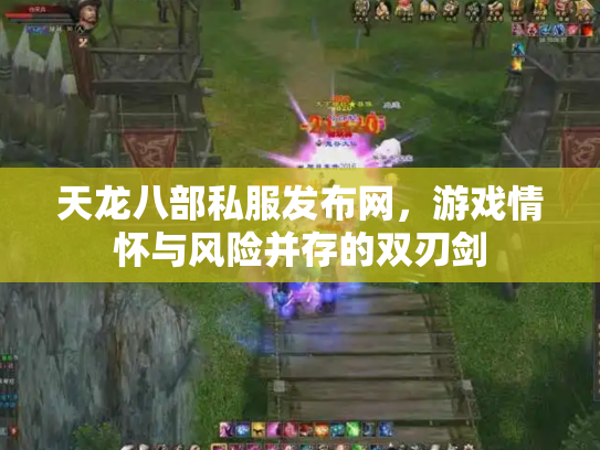 天龙八部私服发布网，游戏情怀与风险并存的双刃剑