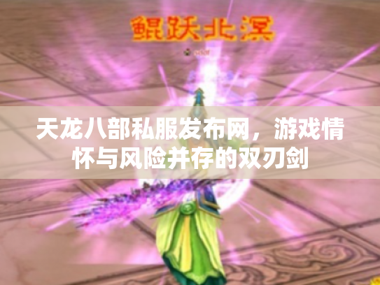 天龙八部私服发布网，游戏情怀与风险并存的双刃剑