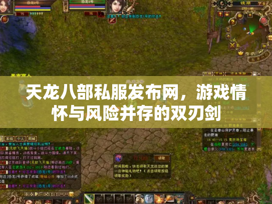 天龙八部私服发布网，游戏情怀与风险并存的双刃剑