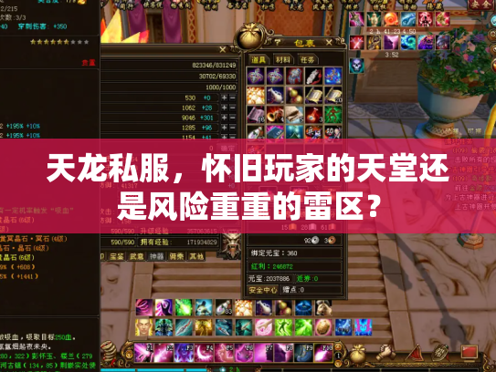 天龙私服，怀旧玩家的天堂还是风险重重的雷区？