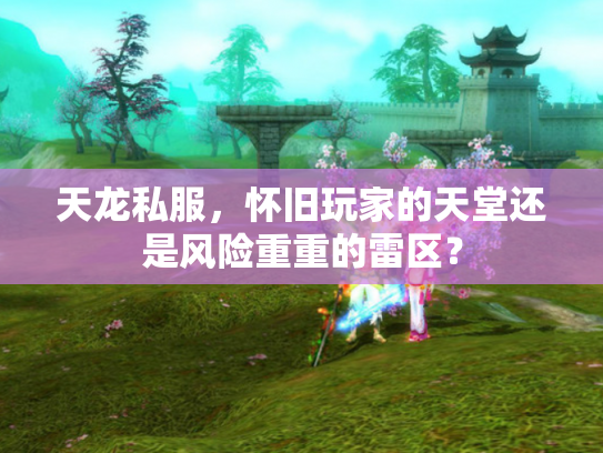 天龙私服，怀旧玩家的天堂还是风险重重的雷区？
