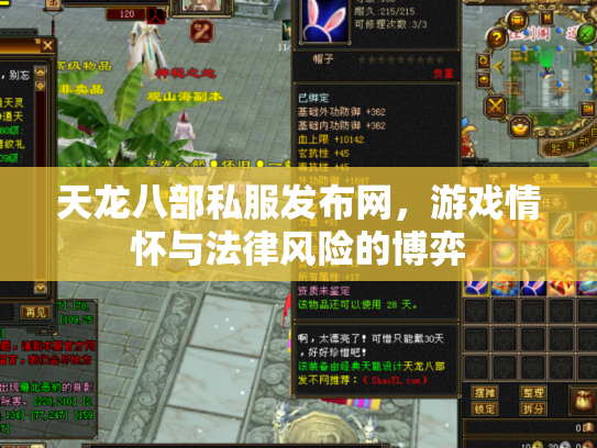 天龙八部私服发布网，游戏情怀与法律风险的博弈