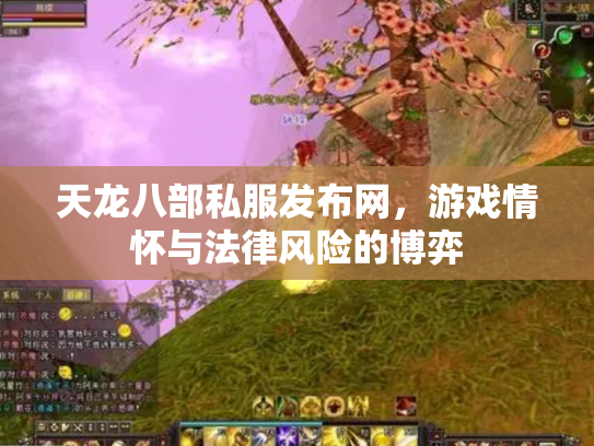 天龙八部私服发布网，游戏情怀与法律风险的博弈