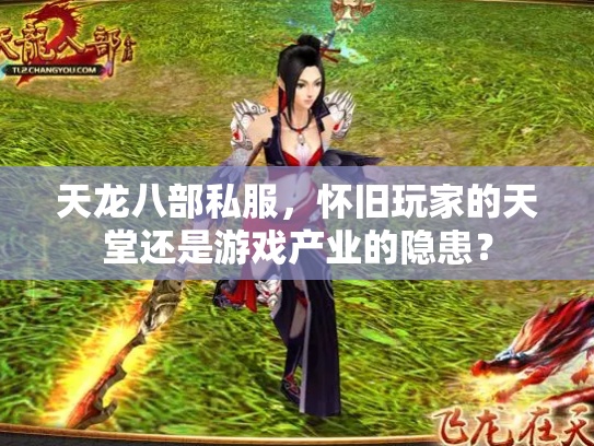 天龙八部私服，怀旧玩家的天堂还是游戏产业的隐患？