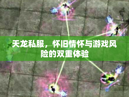 天龙私服，怀旧情怀与游戏风险的双重体验