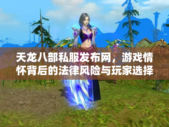 天龙八部私服发布网，游戏情怀背后的法律风险与玩家选择