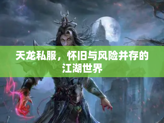 天龙私服，怀旧与风险并存的江湖世界