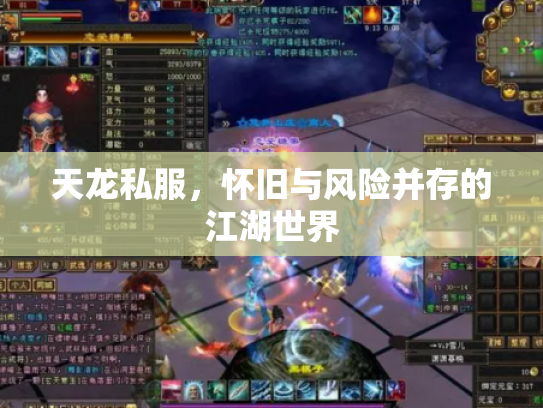天龙私服，怀旧与风险并存的江湖世界