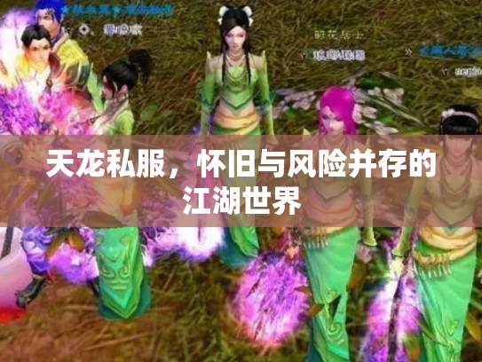 天龙私服，怀旧与风险并存的江湖世界