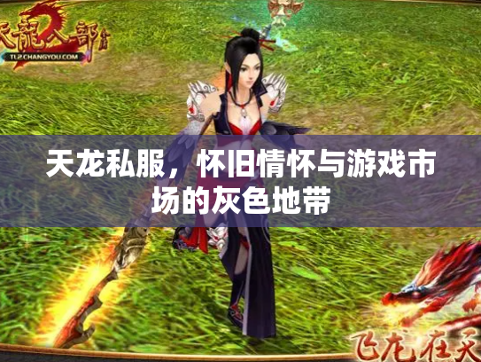 天龙私服，怀旧情怀与游戏市场的灰色地带