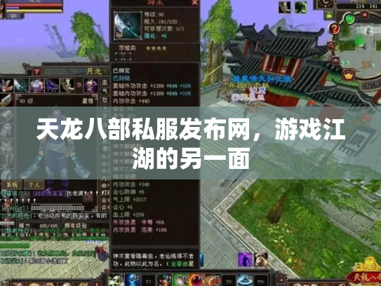 天龙八部私服发布网，游戏江湖的另一面