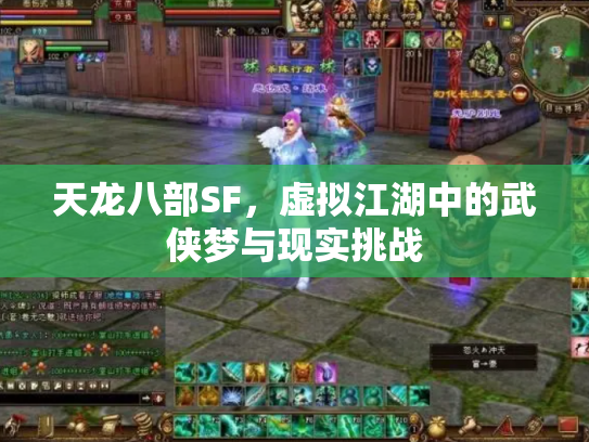 天龙八部SF，虚拟江湖中的武侠梦与现实挑战
