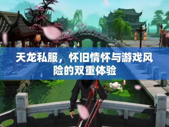 天龙私服，怀旧情怀与游戏风险的双重体验