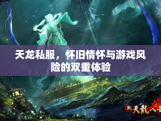 天龙私服，怀旧情怀与游戏风险的双重体验