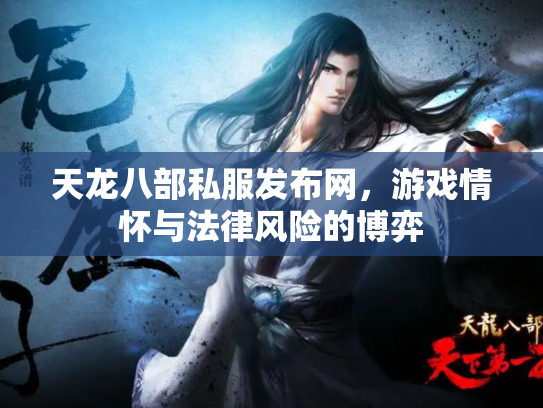 天龙八部私服发布网，游戏情怀与法律风险的博弈