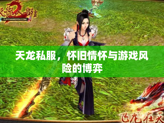 天龙私服，怀旧情怀与游戏风险的博弈