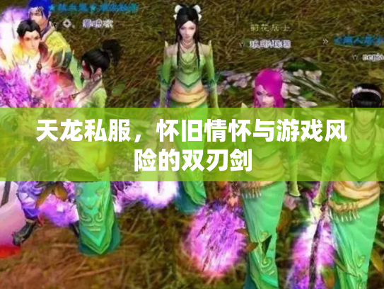 天龙私服，怀旧情怀与游戏风险的双刃剑