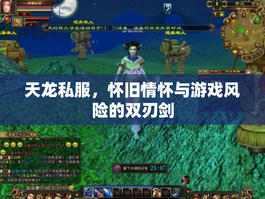 天龙私服，怀旧情怀与游戏风险的双刃剑