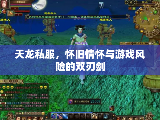 天龙私服，怀旧情怀与游戏风险的双刃剑