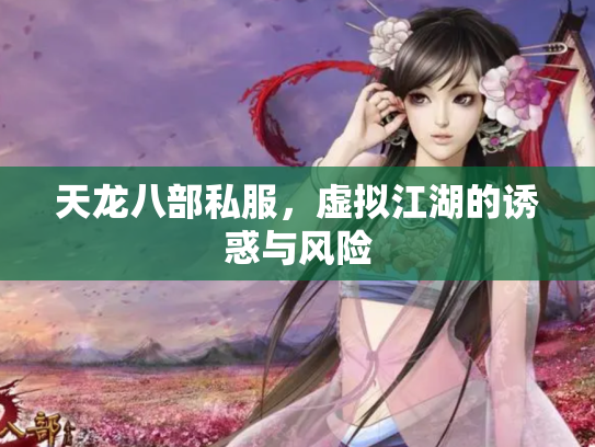 天龙八部私服，虚拟江湖的诱惑与风险