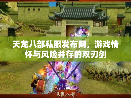 天龙八部私服发布网，游戏情怀与风险并存的双刃剑