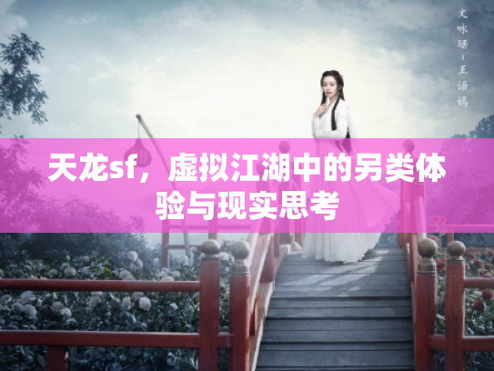 天龙sf，虚拟江湖中的另类体验与现实思考