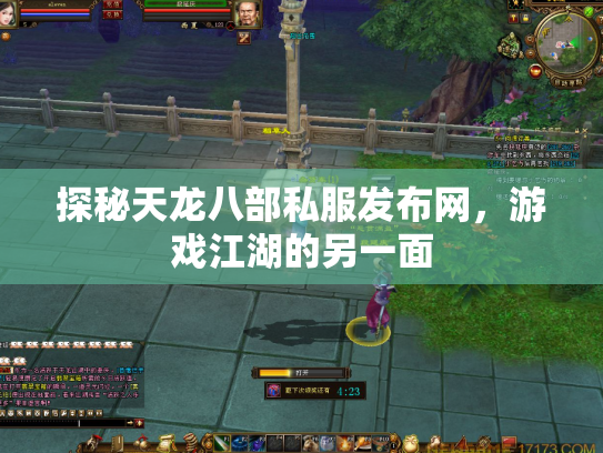 探秘天龙八部私服发布网，游戏江湖的另一面