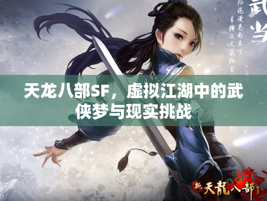 天龙八部SF，虚拟江湖中的武侠梦与现实挑战