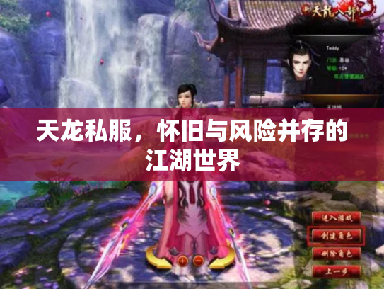 天龙私服，怀旧与风险并存的江湖世界