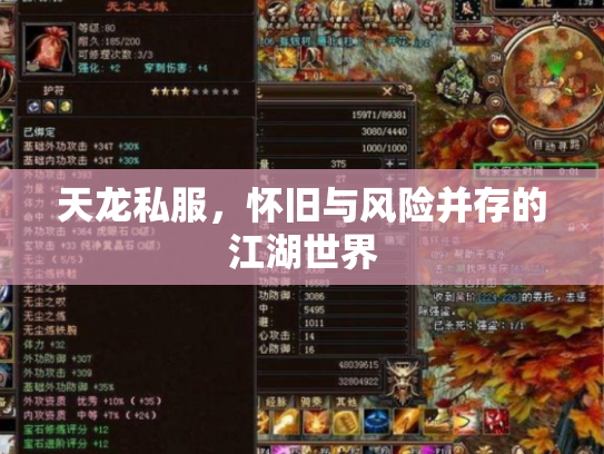 天龙私服，怀旧与风险并存的江湖世界