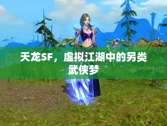 天龙SF，虚拟江湖中的另类武侠梦