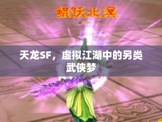 天龙SF，虚拟江湖中的另类武侠梦
