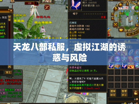 天龙八部私服，虚拟江湖的诱惑与风险