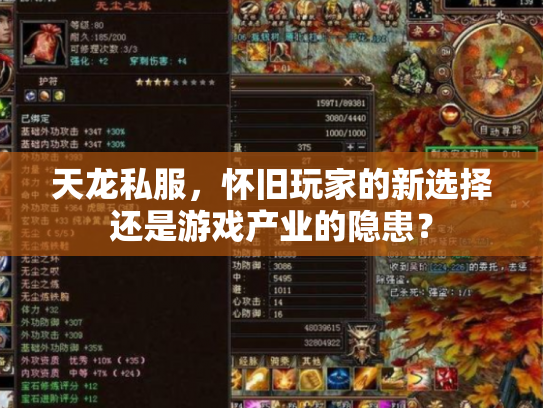 天龙私服，怀旧玩家的新选择还是游戏产业的隐患？