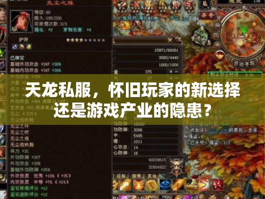 天龙私服，怀旧玩家的新选择还是游戏产业的隐患？