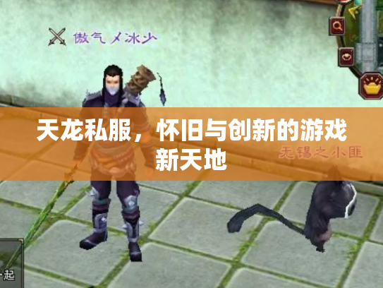 天龙私服，怀旧与创新的游戏新天地