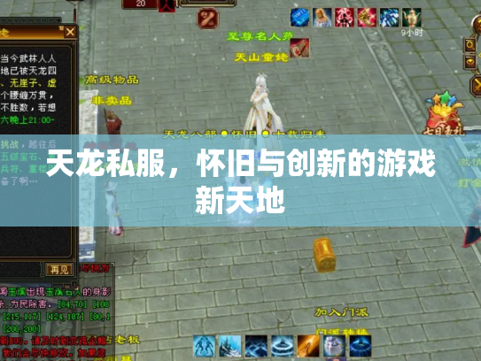 天龙私服，怀旧与创新的游戏新天地