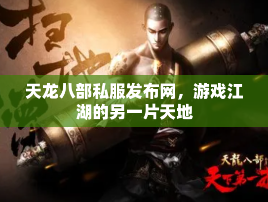 天龙八部私服发布网，游戏江湖的另一片天地