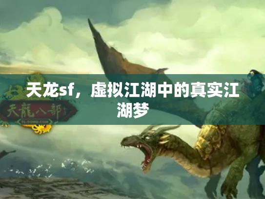 天龙sf，虚拟江湖中的真实江湖梦