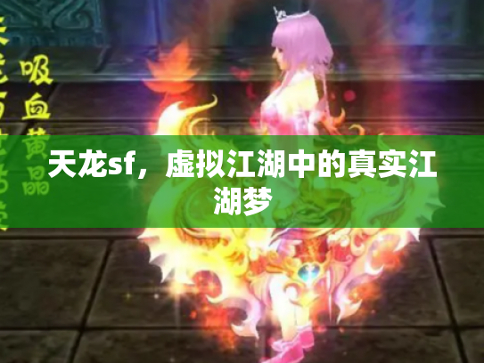天龙sf，虚拟江湖中的真实江湖梦