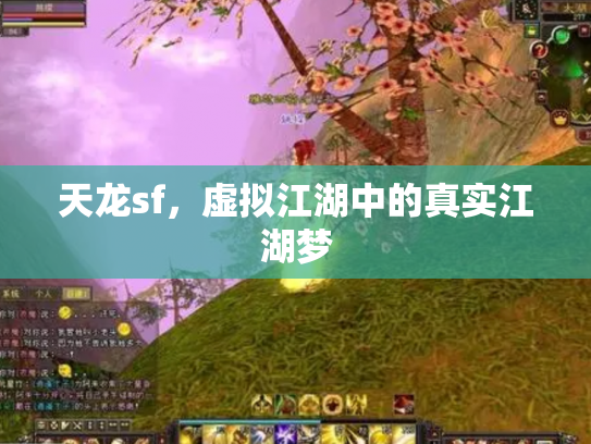 天龙sf，虚拟江湖中的真实江湖梦