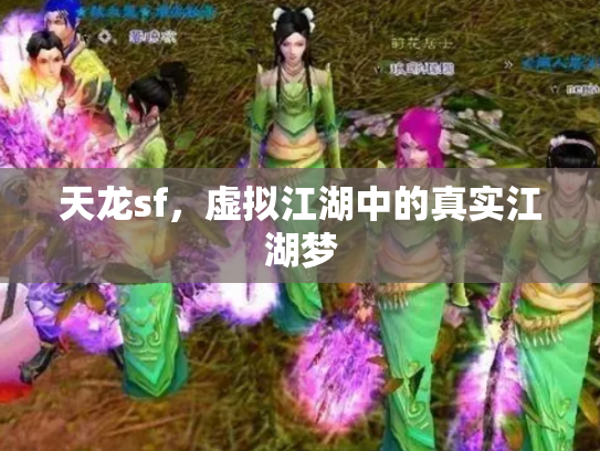 天龙sf，虚拟江湖中的真实江湖梦