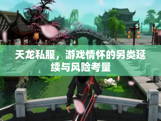 天龙私服，游戏情怀的另类延续与风险考量