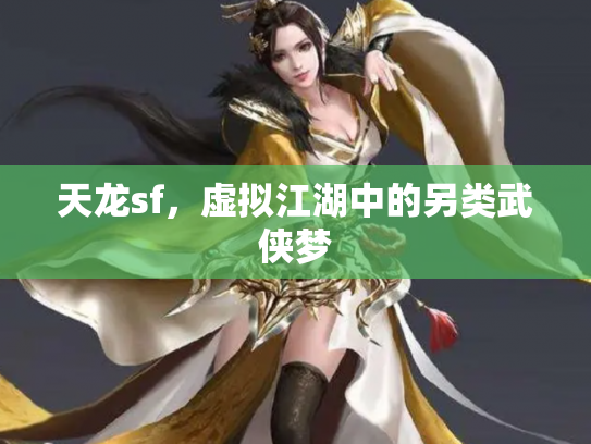 天龙sf，虚拟江湖中的另类武侠梦