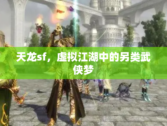 天龙sf，虚拟江湖中的另类武侠梦