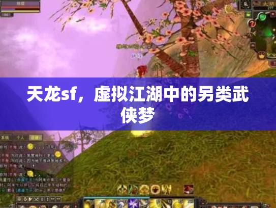 天龙sf，虚拟江湖中的另类武侠梦