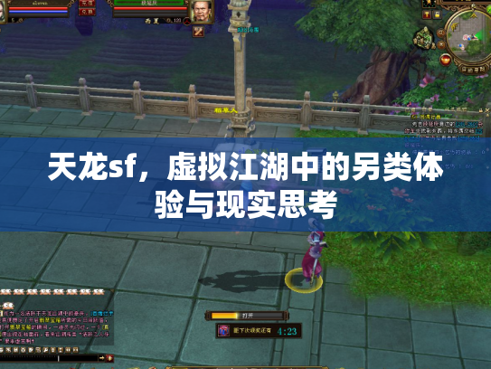 天龙sf，虚拟江湖中的另类体验与现实思考