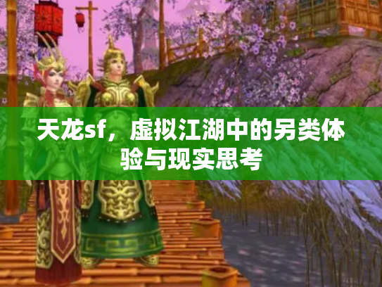 天龙sf，虚拟江湖中的另类体验与现实思考